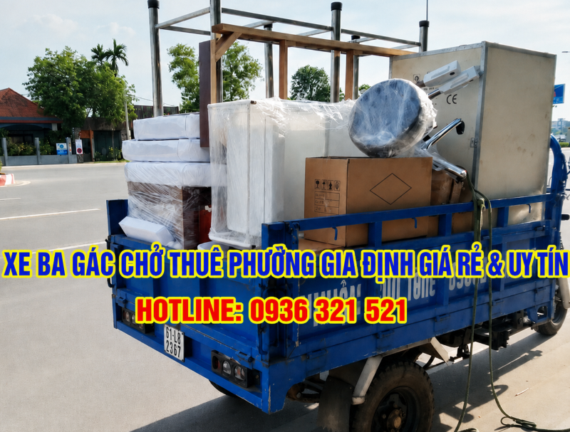 xe-ba-gac-cho-do-phuong-gia-dinh-gia-re